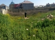 Satılır 7 sot torpaq Masazır