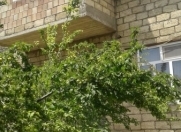 Satılır 5 otaqlı 110 m2 həyət evi Biləcəri
