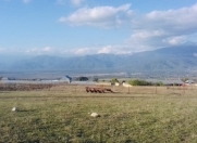 Satılır 12 sot torpaq İsmayıllı