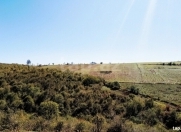 Satılır 200 sot torpaq Qusar