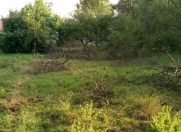 Satılır 12 sot torpaq İsmayıllı