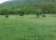 Satılır 12 sot torpaq Quba