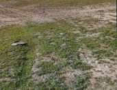 Satılır 10 sot torpaq Perekeşkül