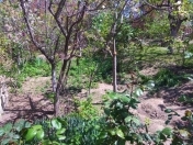 Satılır 5 sot torpaq Biləcəri