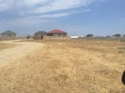 Satılır 100 sot torpaq Məhəmmədli