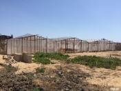 Satılır 20 sot torpaq Xaşaxuna