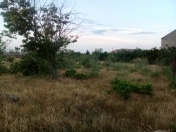 Satılır 10 sot torpaq Albalı