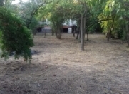 Satılır 5 sot torpaq Göyçay