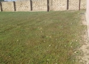 Satılır 4 sot torpaq Gəncə