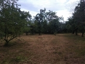 Satılır 12 sot torpaq Quba