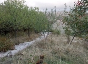 Satılır 56 sot torpaq Xaçmaz