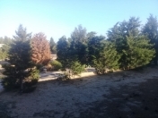 Satılır 40 sot torpaq Mərdəkan