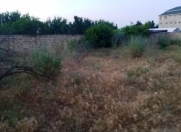 Satılır 25 sot torpaq Novxanı