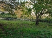 Satılır 11 sot torpaq Qəbələ