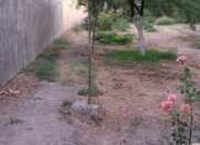 Satılır 6 sot torpaq Naxçıvan