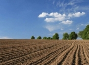 Satılır 137 sot torpaq Şəmkir