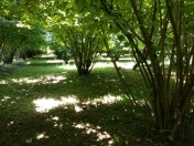 Satılır 10 sot torpaq Qəbələ