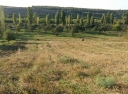 Satılır 450 sot torpaq Quba