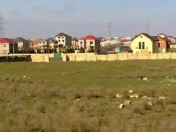 Satılır 20 sot torpaq Y.Suraxanı