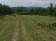 Satılır 25 sot torpaq Quba