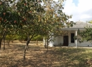 Satılır 23 sot torpaq Göyçay