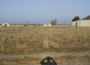 Satılır 2000 sot torpaq Xaçmaz