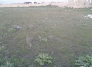 Satılır 13 sot torpaq Göygöl