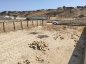 Satılır 6 sot torpaq Novxanı