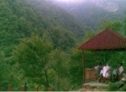 Satılır 30 sot torpaq Qax