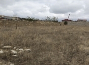 Satılır 12 sot torpaq Şamaxı