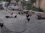 Satılır 4 sot torpaq Sumqayıt