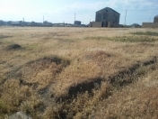 Satılır 8 sot torpaq Saray