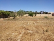 Satılır 55 sot torpaq Rəsulzadə