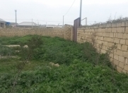 Satılır 10 sot torpaq Qobu