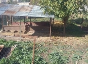 Satılır 3 sot torpaq İsmayıllı