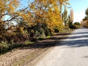 Satılır 200 sot torpaq Quba