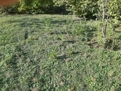 Satılır 112 sot torpaq Quba