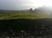 Satılır 12 sot torpaq Şamaxı