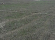 Satılır 5 sot torpaq Xaçmaz