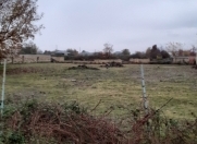 Satılır 23 sot torpaq Balakən