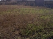 Satılır 12 sot torpaq Şəki