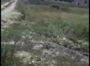 Satılır 8 sot torpaq Qusar