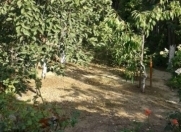 Satılır 3 otaqlı 80 m2 həyət evi Xırdalan