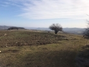 Satılır 50 sot torpaq İsmayıllı