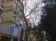 Satılır 2 otaqlı 45 m2 köhnə tikili Zığ