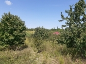 Satılır 14 sot torpaq Quba