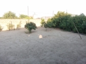 Satılır 4 otaqlı 181 m2 həyət evi Maştağa