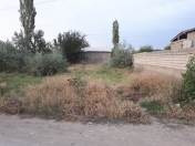 Satılır 8 sot torpaq Naxçıvan
