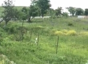 Satılır 14 sot torpaq Şamaxı