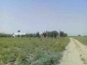 Satılır 12 sot torpaq Şabran